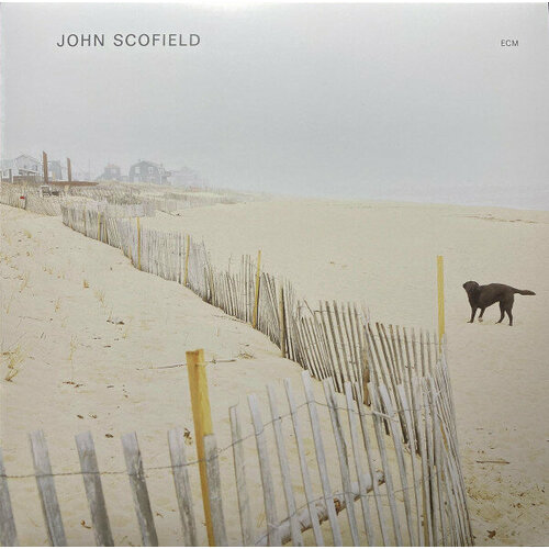 Виниловая пластинка John Scofield / John Scofield (1LP)