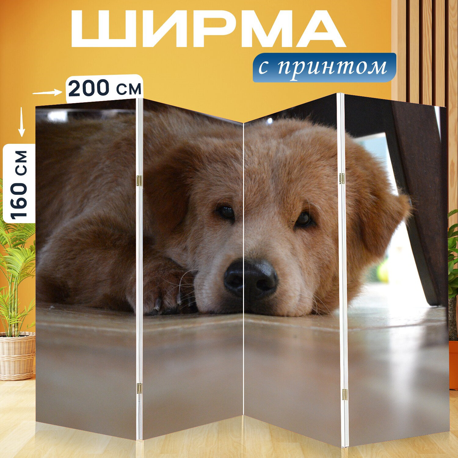 Ширма перегородка с принтом "Собака, щенок, домашний питомец" на холсте - 200x160 см. для зонирования, раскладная