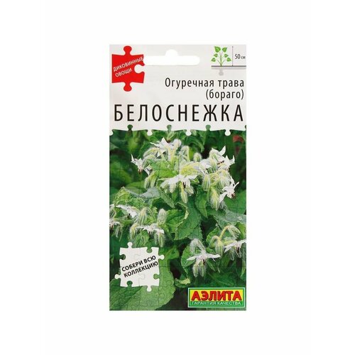 5 упаковок Семена Огуречная трава Белоснежка, ц/п, 0,3 г