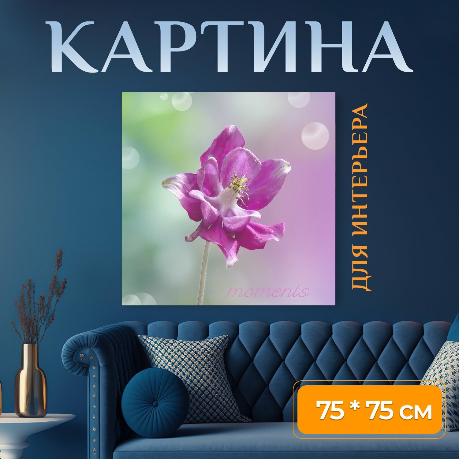 Картина на холсте "Цветок, цвести, колумбия" на подрамнике 75х75 см. для интерьера