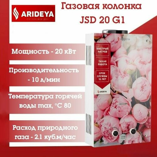 Газовая колонка ARIDEYA JSD 20 G1 Пионы 1256000₽