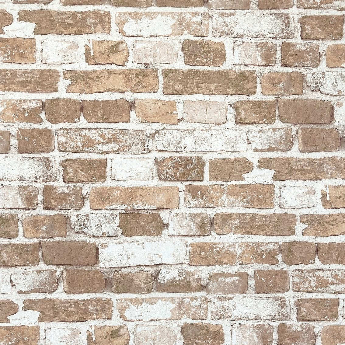 фото Обои Solo New York SL8632-15