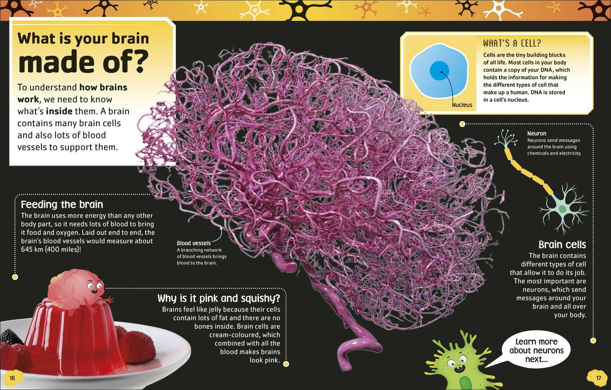 The Brain Book / Drew Liam / Книга на Английском - фото №5