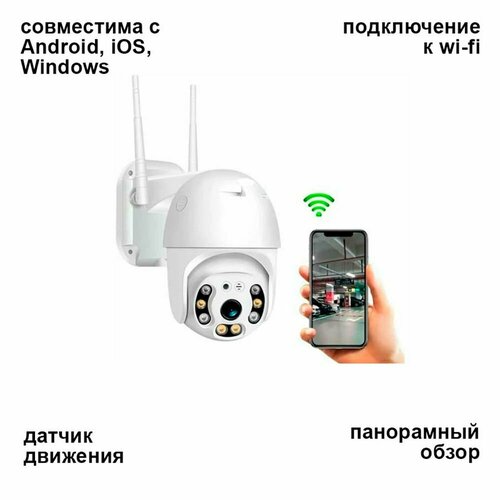 Камера видеонаблюдения купольная 299900₽