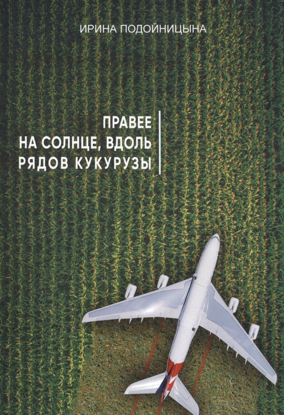Правее на солнце, вдоль рядов кукурузы