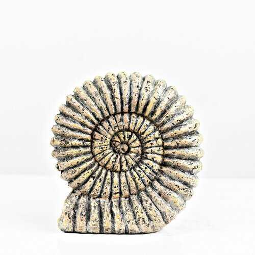 Держатель для книг / Ограничитель / Подставка для книг декор для дома Ракушки