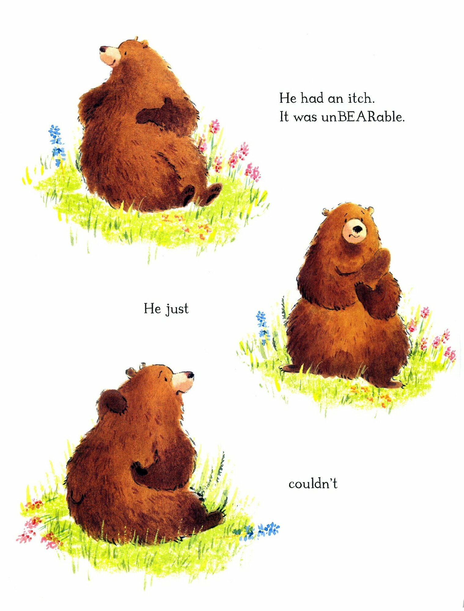 The Grizzly Itch / Книга на Английском - фото №2