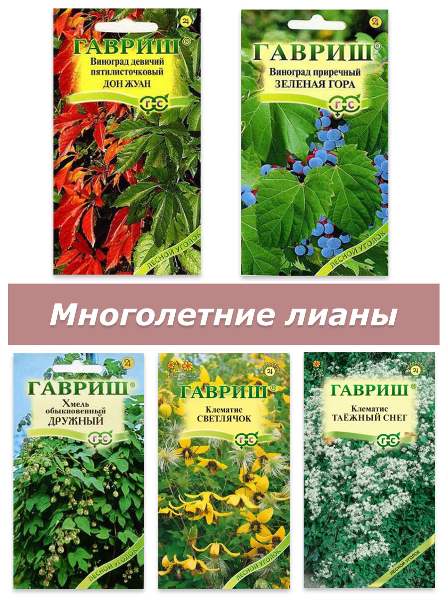 Набор семян семена многолетних лиан и вьющихся растений виноград хмель клематис