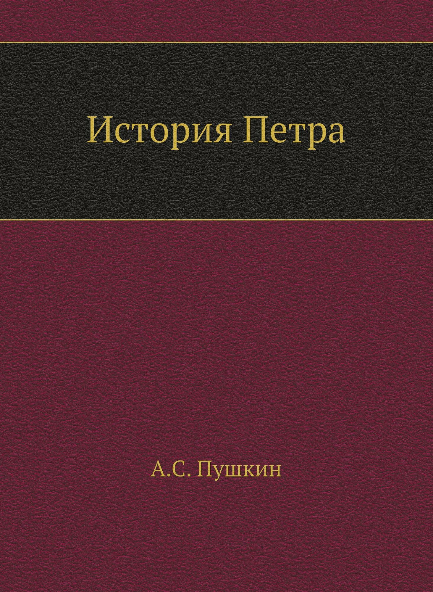 Книга История петра (Пушкин Александр Сергеевич) - фото №1