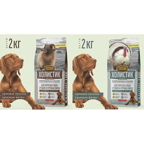 Деревенские лакомства Холистик Сухой корм для взрослых собак средних и крупных пород 2 кг - 2 шт 3820₽