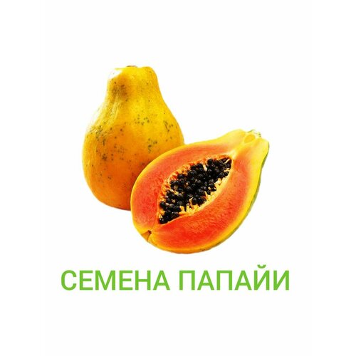 Семена Папайи