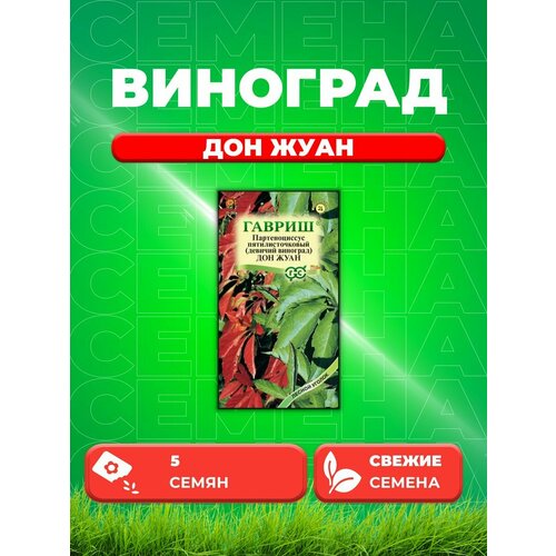 виноград девичий троки 1 шт горшок Виноград девичий Дон Жуан 5 шт.