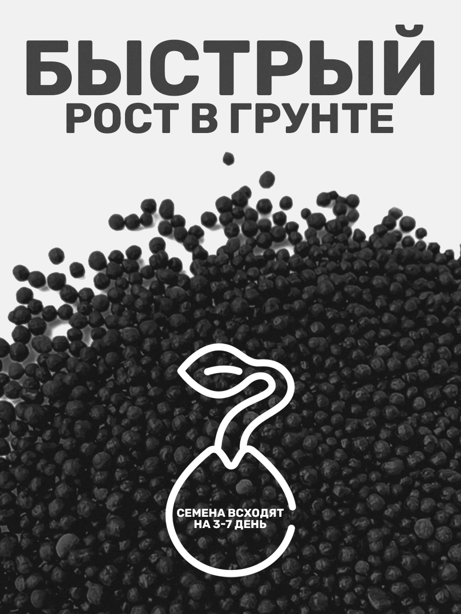 Семена растений для аквариума "Glossostigma", семена декоративных растений 10 г — фото 1