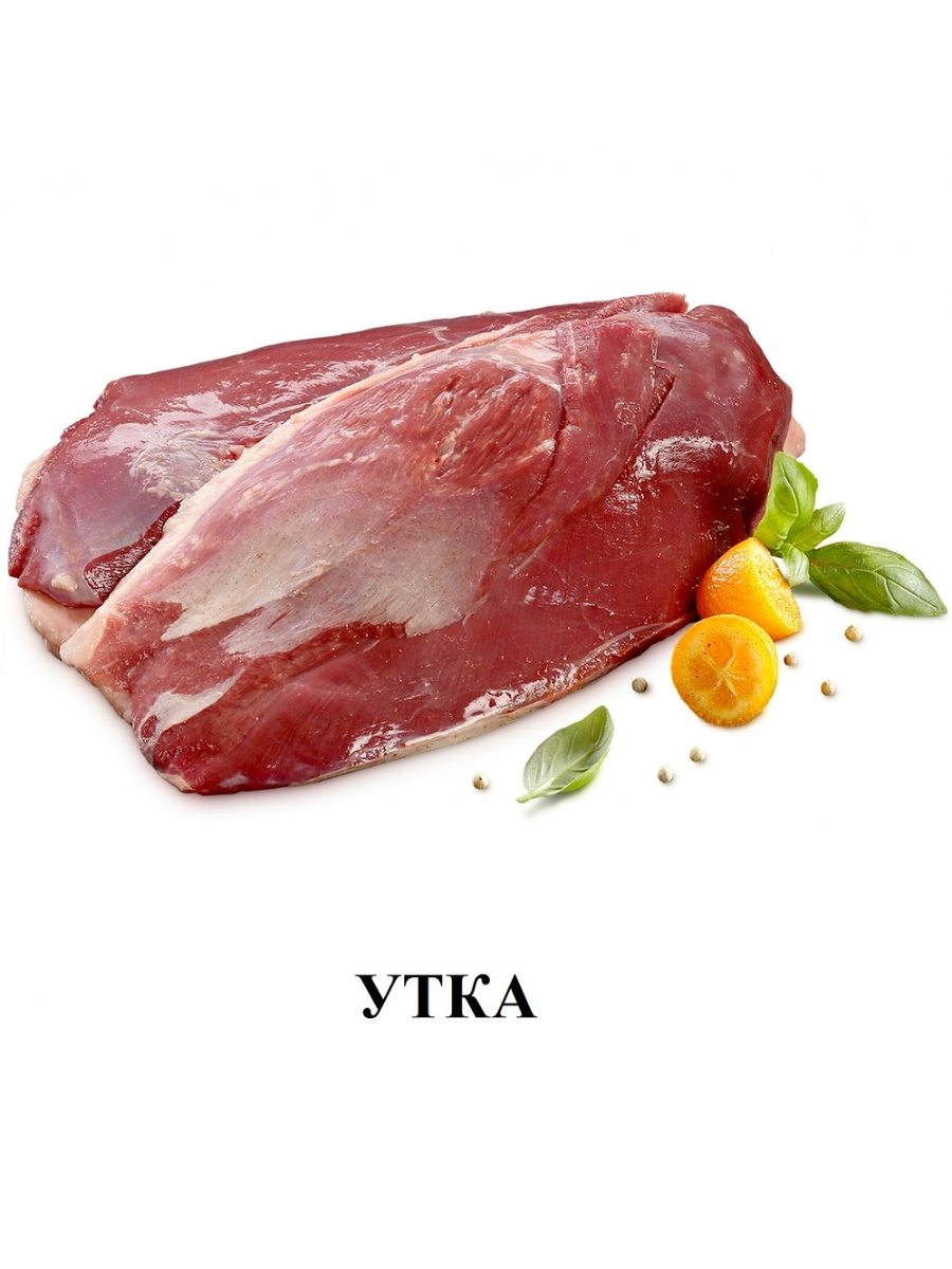 ALLEVA HOLISTIC Корм для кастрированных котов и стерилизованных кошек с курицей и уткой 0,4 кг — фото 1