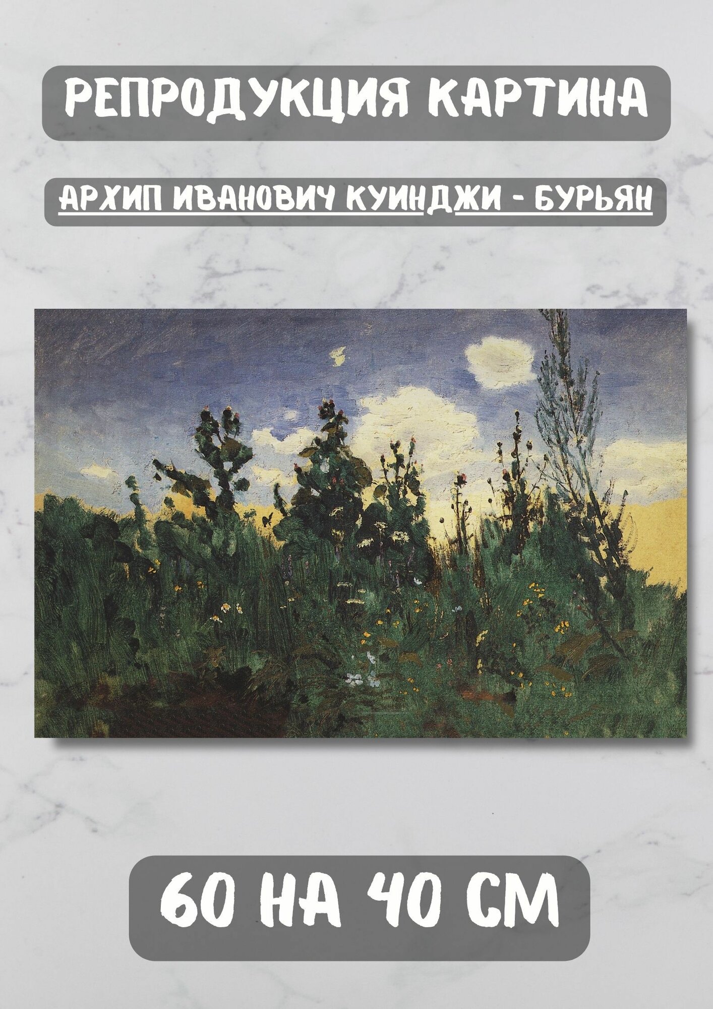 Куинджи Архип Иванович "Бурьян" 60х40