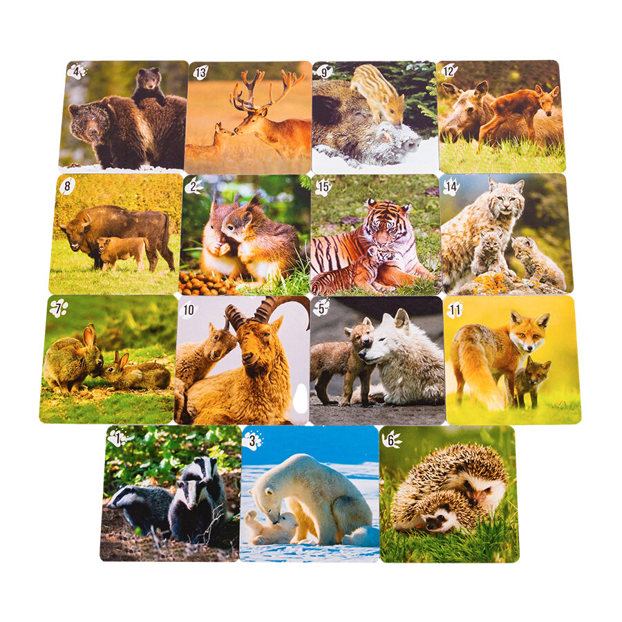 Развиваюшая игра настольная "Дикие животные" в подарок — фото 1