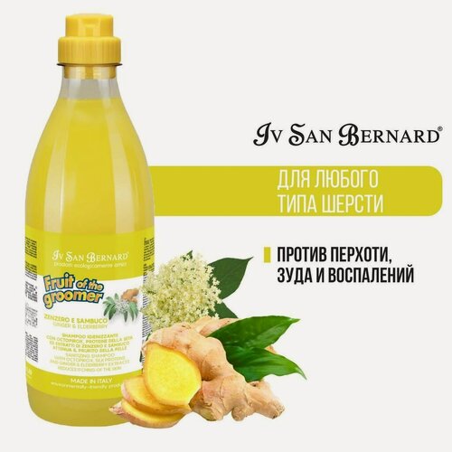 Изображение товара Шампунь для собак и кошек Iv San Bernard Fruit of the Groomer Ginger&Elderbery для любого типа шерсти против раздражений и перхоти 500 мл