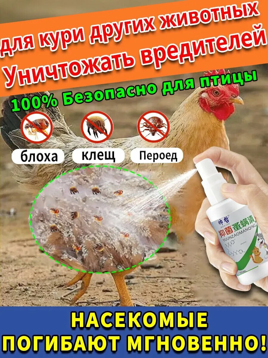Средство для кур от пероедов и блох