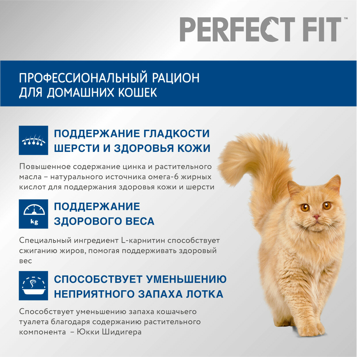 Cухой корм PERFECT FIT™ для живущих в помещении кошек, с курицей, 1.2кг