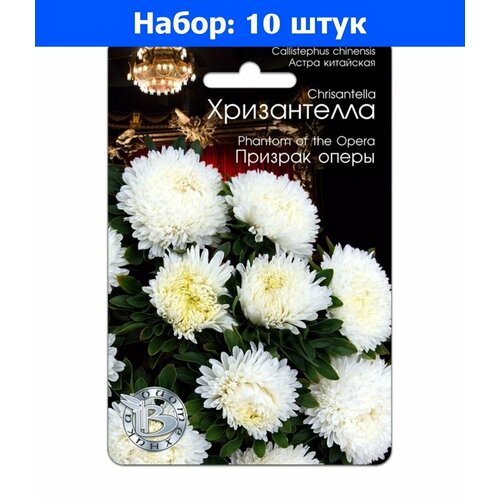 Астра Хризантелла Призрак оперы хризантемовидная 30шт Одн 80см (Биотехника) - 10 пачек семян