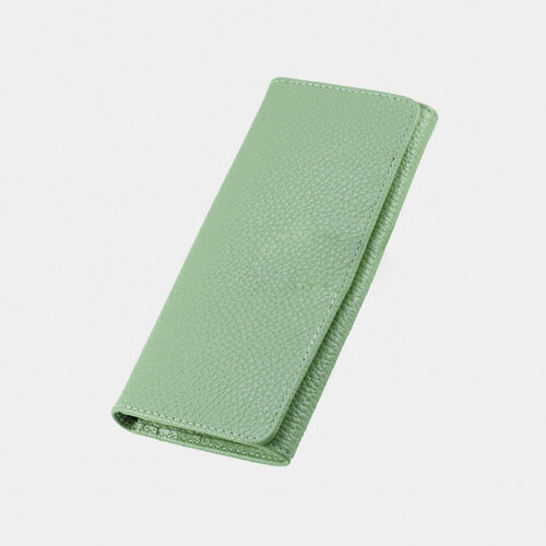фото Кошелек вектор, зеленый