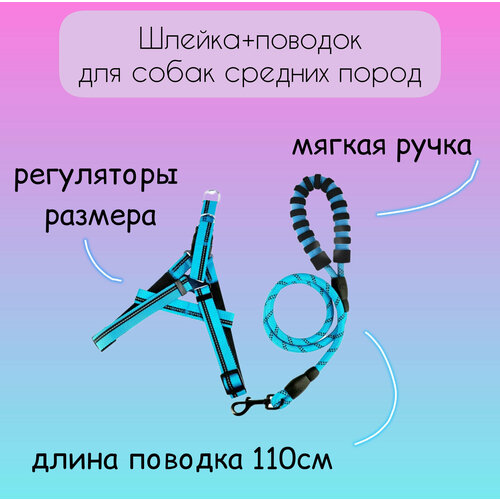 Поводок и шлейка для собак средних пород, М, голубой