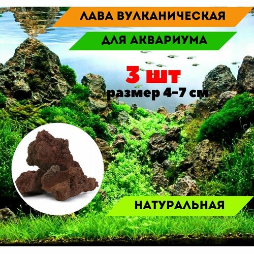 Лава Вулканическая 3 шт. 4-7 см натуральный камень, декорация для аквариумов и террариумов.