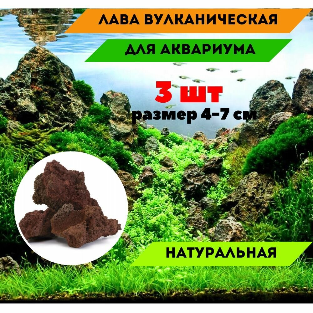 Лава Вулканическая 3 шт. 4-7 см натуральный камень декорация для аквариумов и террариумов.