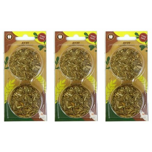 Дуэт Лакомство для грызунов 