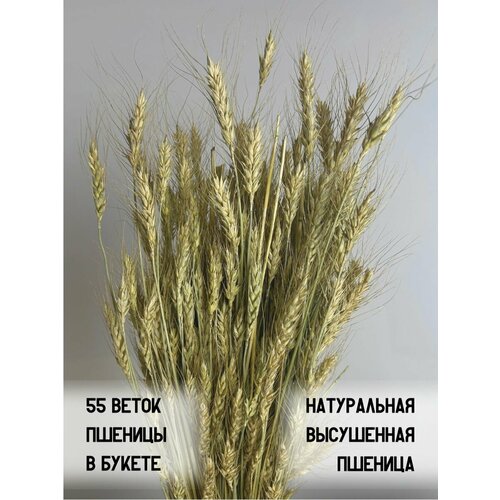 Сухоцветы Льна/Пшеницы натуралыный букет 70см расцвет