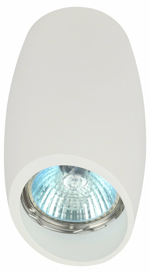 Светильник настенно-потолочный спот ЭРА OL20 WH MR16/GU10, белый арт. Б0054390 (1 шт.)