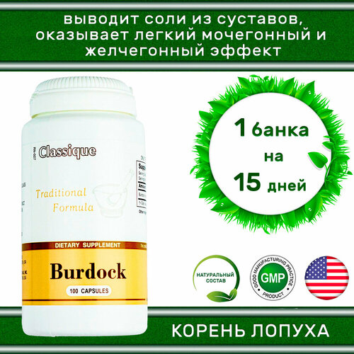 Burdock Santegra / Корень лопуха Сантегра, 420 мг, 100 капсул - выведение солей из суставов / БАД для пищеварения, очищение кожи /