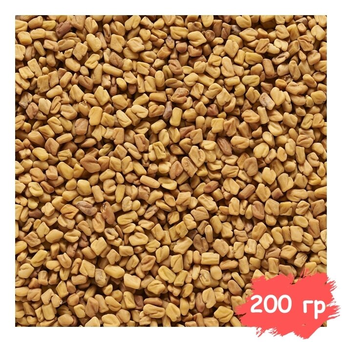 Пажитник Семена (Россия) натуральные цельные семена, шамбала, приправа и специя, Вегетарианский продукт, Vegan 200 гр