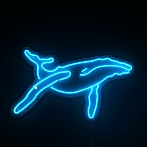 DIODENEON / Неоновая вывеска, ночник - Кит 50х25 см.