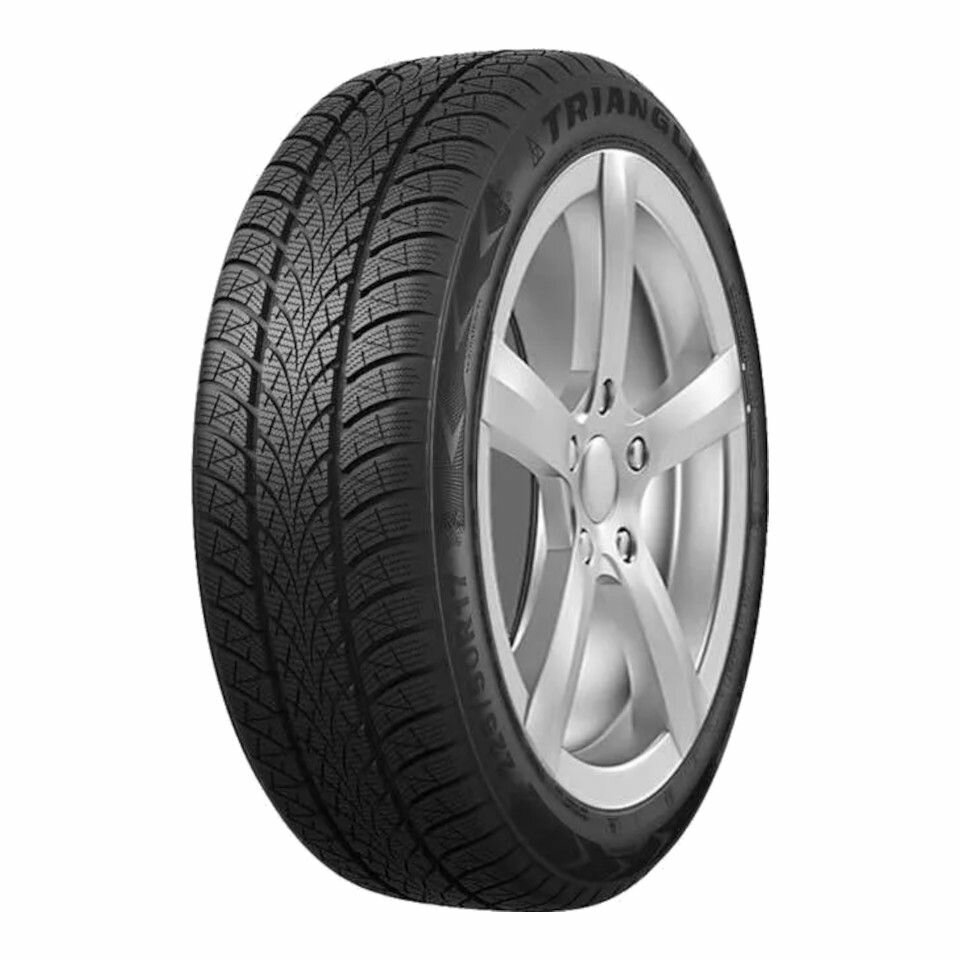 Шины зимние Triangle TW401 195/55 R16 91 H