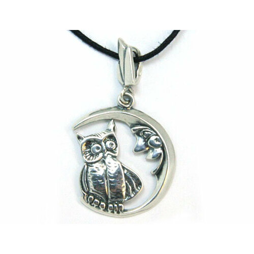 Подвеска Яспис подвеска из серебра 0423п ночка, серебро, 925 проба, чернение