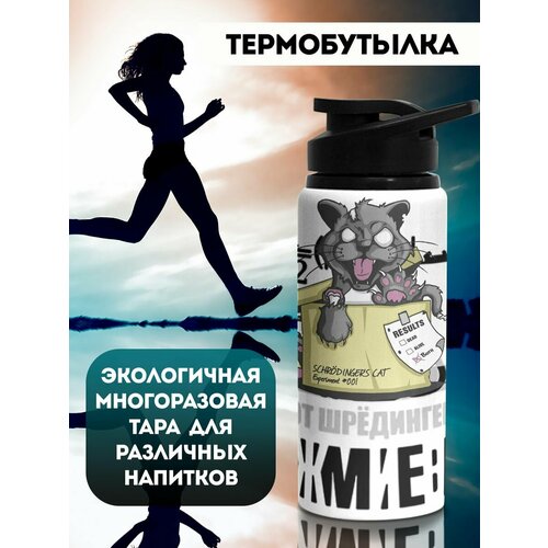 фото Бутылка для воды спортивная кот шредингера филя