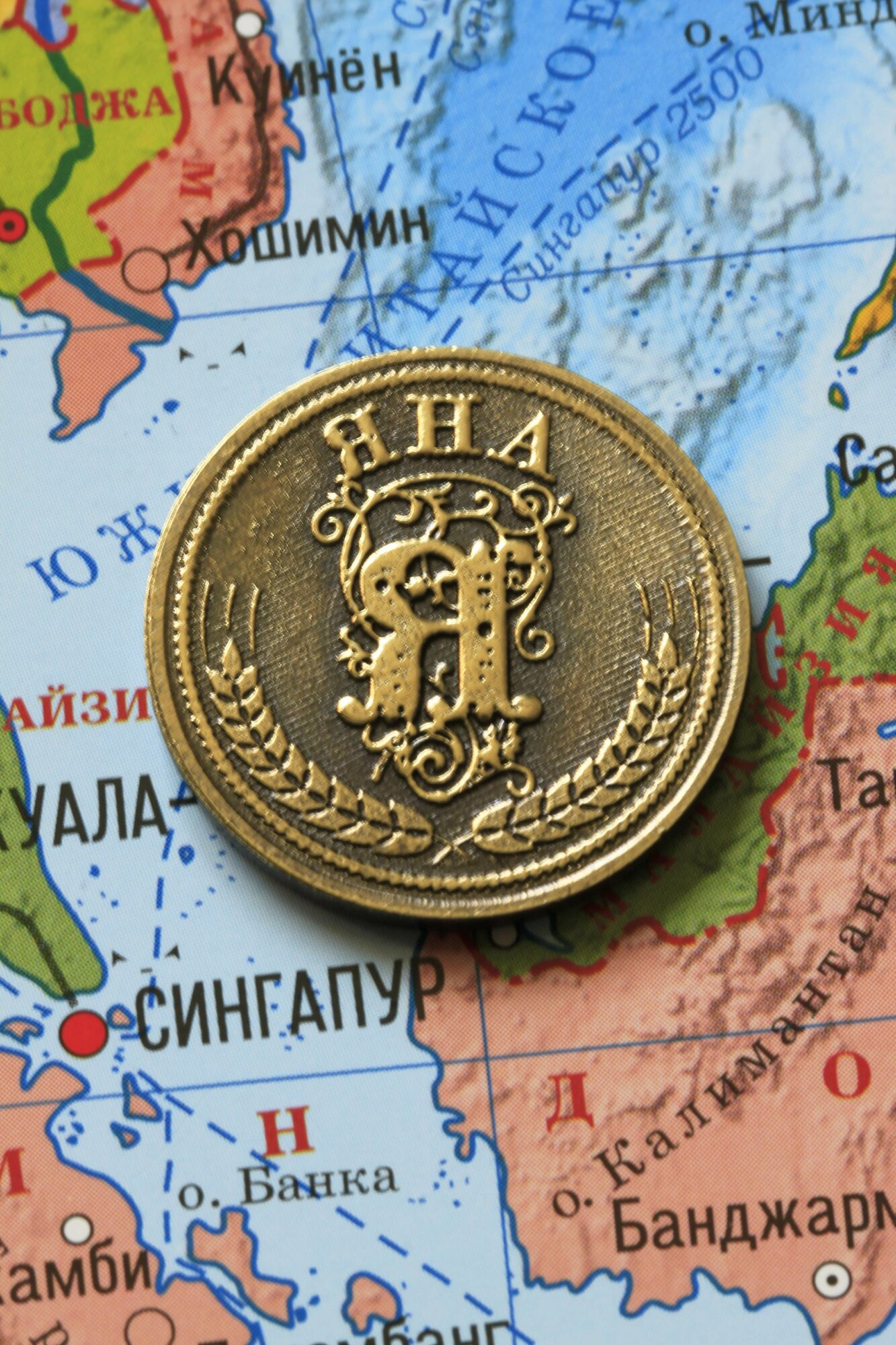 Именная оригинальна сувенирная монетка в подарок на богатство и удачу для женщины, девушки и девочки - Яна