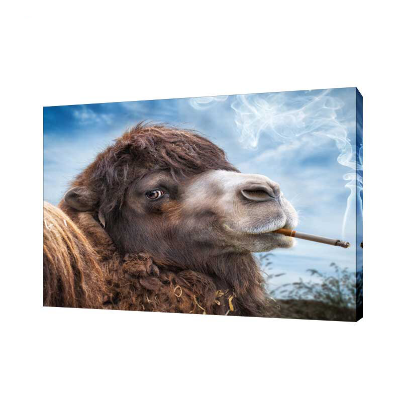 Картина на холсте Курящий верблюд 30х40 см