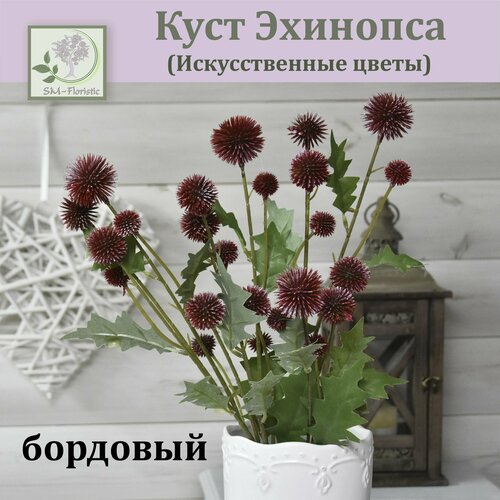 Куст искусственного Эхинопса (Бордовый) / Эхинопс реалистичный / Цветы для декора интерьера