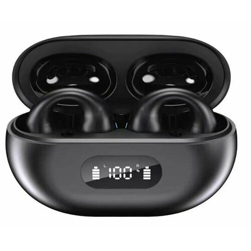 Наушники 79000₽