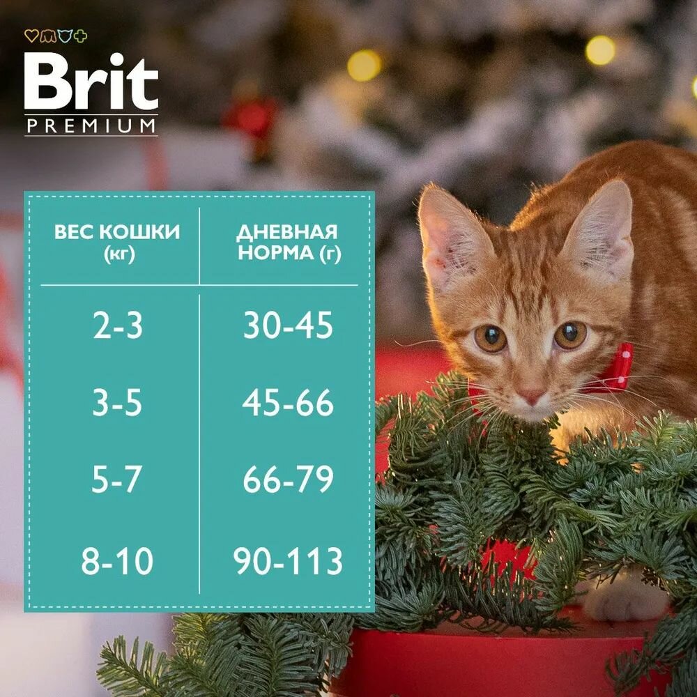 Сухой корм для кошек Brit Premium Sensitive с курицей и бараниной 0.4кг - фото №13