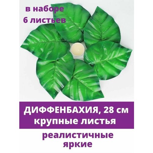 Диффенбахия, искусственные растения, листья крупные, 28 см, набор 6 штук