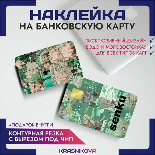 Наклейки на карту банковскую аниме доктор стоун v7