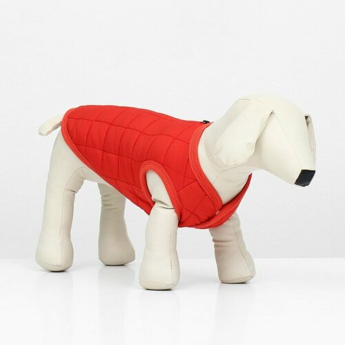 Куртка для собак Nice, размер M (ДС 30 см, ОШ 30 см, ОГ 38 см), красная куртка для собак nice размер xl дс 38 см ош 38 см ог 48 см синяя