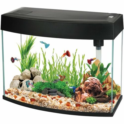 Аквариум Aa-aquarium AA Aquarium BasicP 20л, панорамный черный, 44х19х36 см