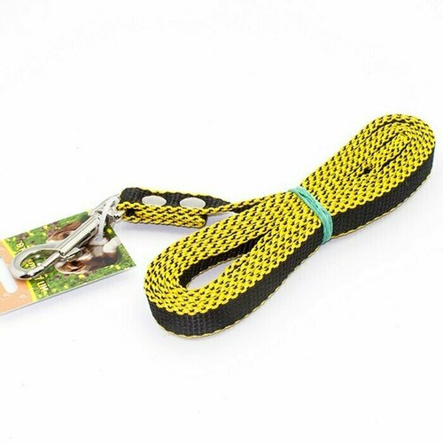 Поводок для собак нейлоновый 20мм*2м, 1 шт.
