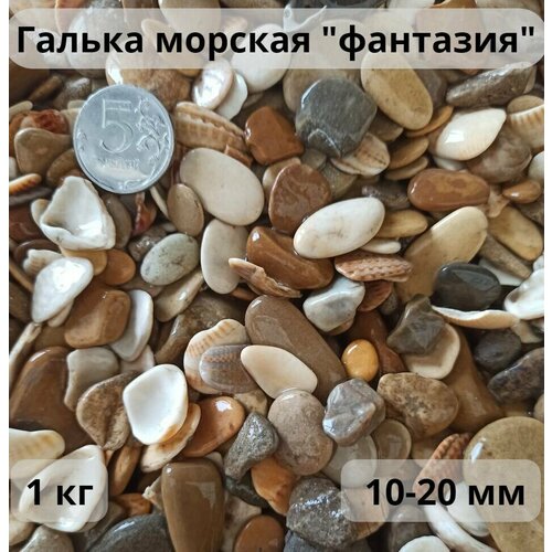 Галька морская фантазия 10-20 мм 1 кг