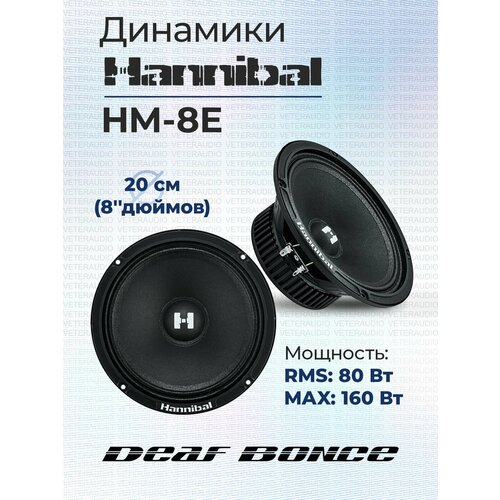 Эстрадная акустика Hannibal HM-8E 259000₽