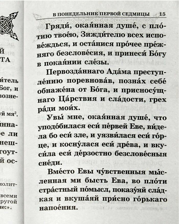 Великий покаянный канон святого Андрея Критского читаемый в Первую и Пятую неделю Великого Поста - фото №8